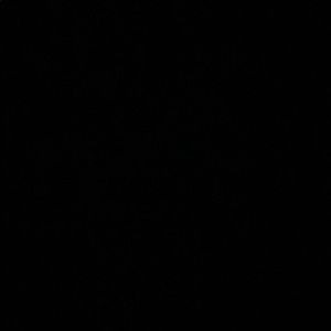 Meet your Posher, Rowan